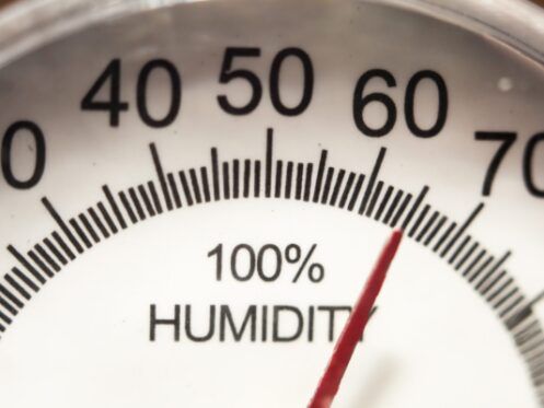 Hygrometer Gauge in Home in need of Dehumidifier in Dallas, GA