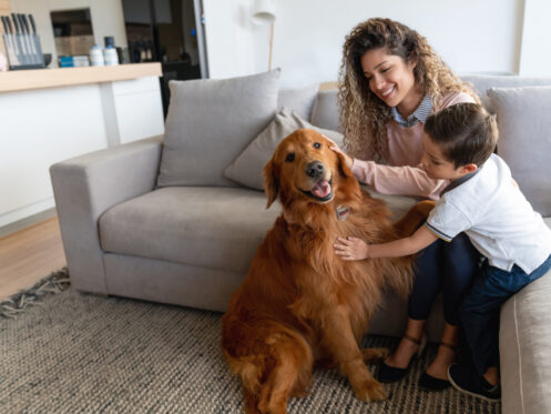 A mom and son petting their dog